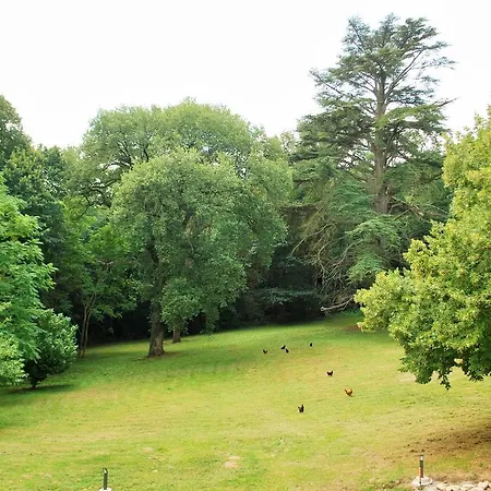 Couette-café Chateau Bel Aspect 4*