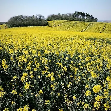 Chateau Bel Aspect Couette-café
